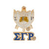 SGRHO 3D Color Shield Pin