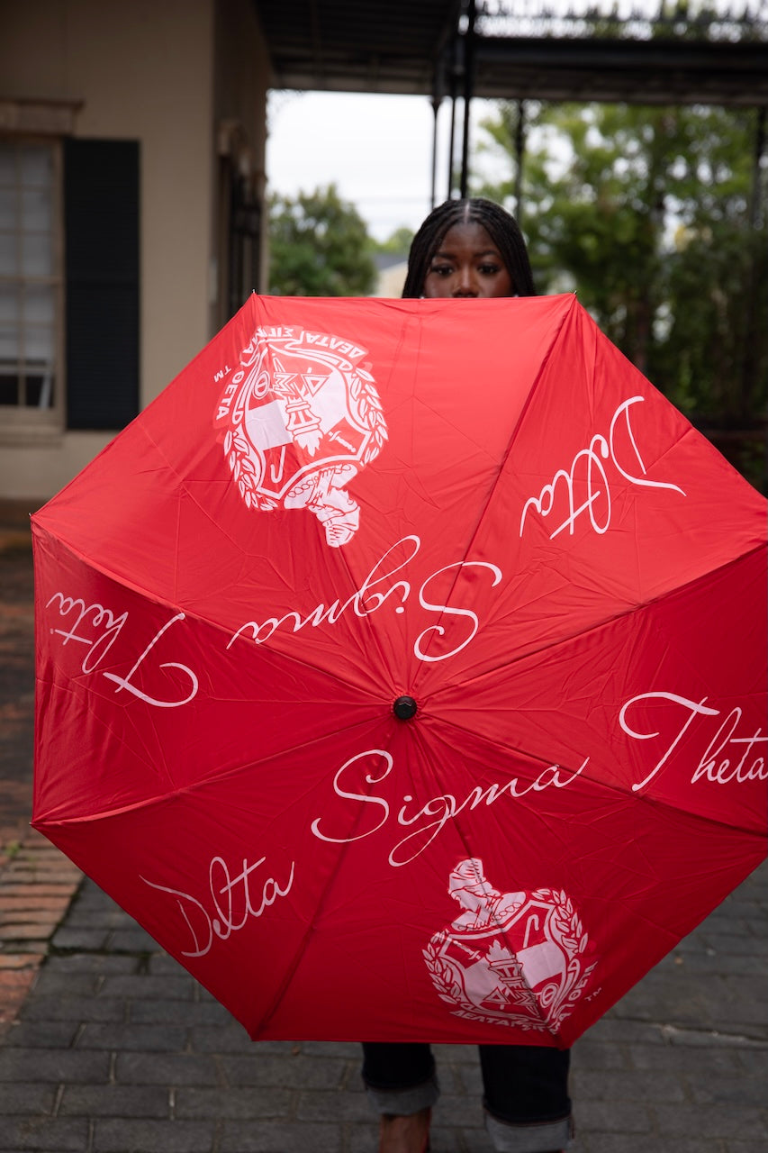 DST Inverted Umbrella