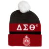 DST Beanie