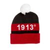DST Beanie