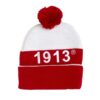 DST Beanie