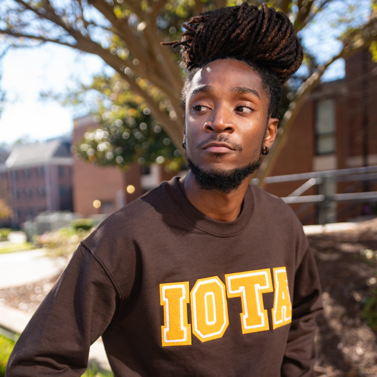 Brown Iota Sweatshirt