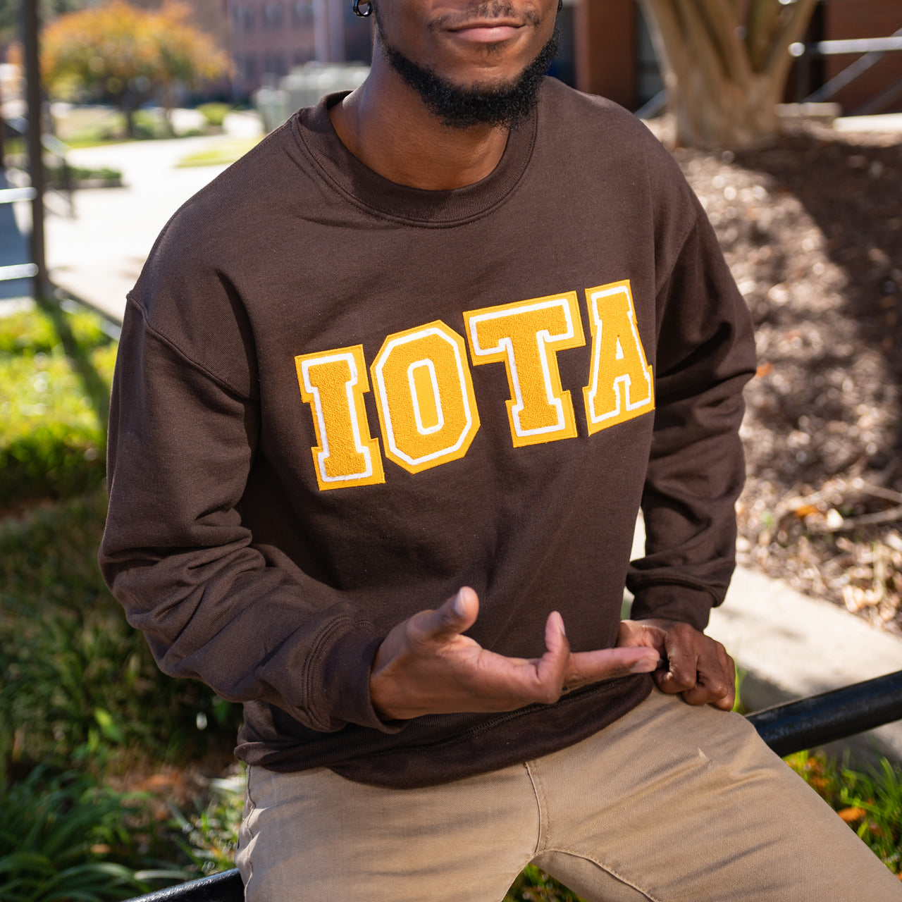 Brown Iota Sweatshirt