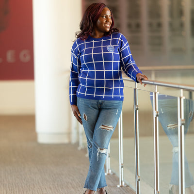 Royal Blue and White Checkered Sweater