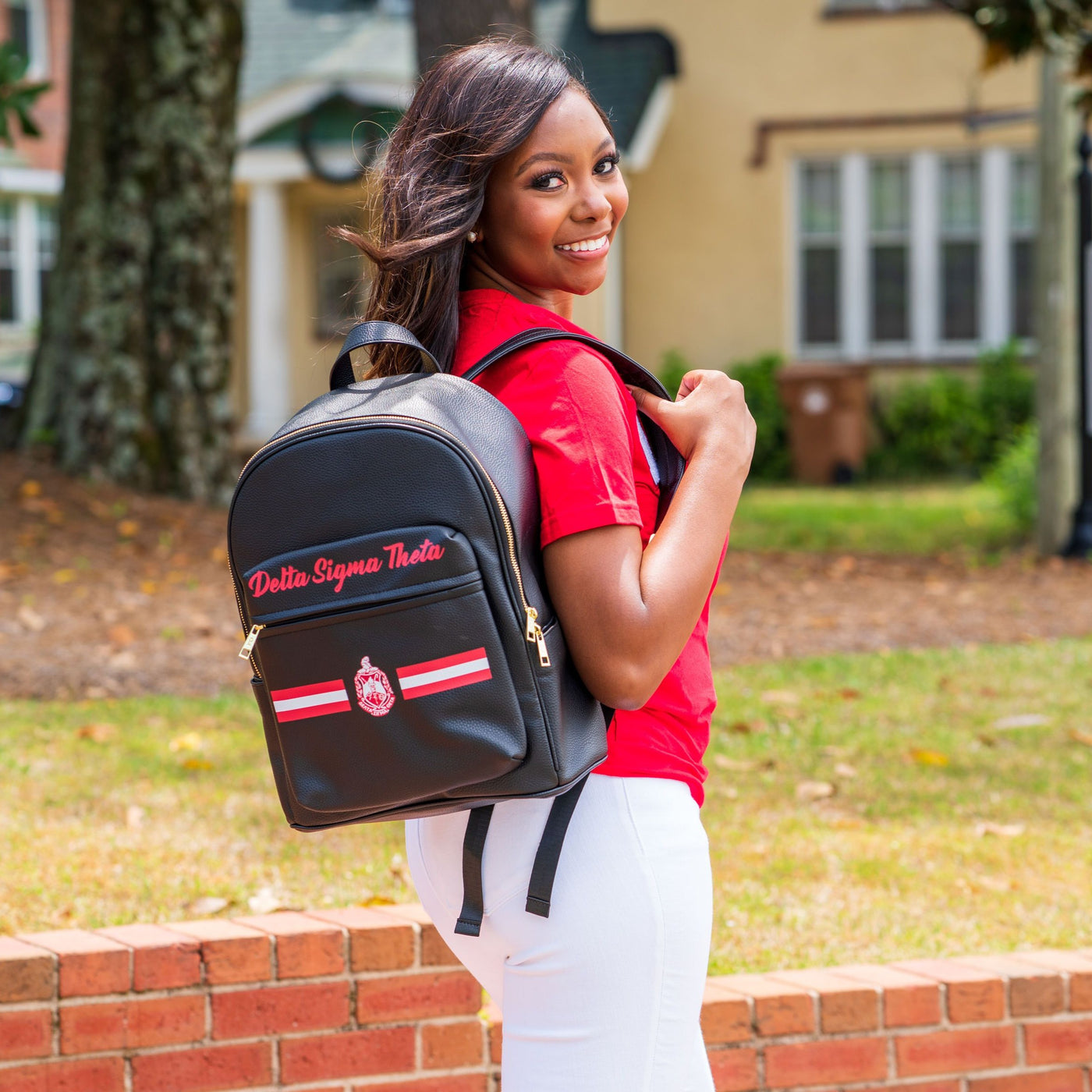 Printed Delta Back Pack